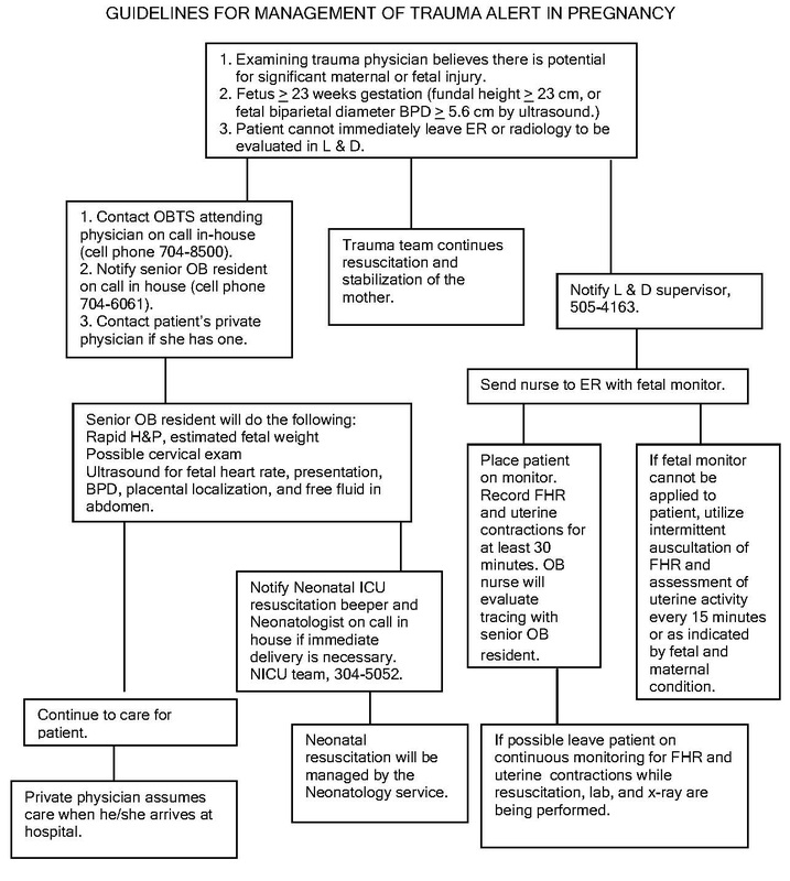 Guidelines for management of trauma alert in pregnancy