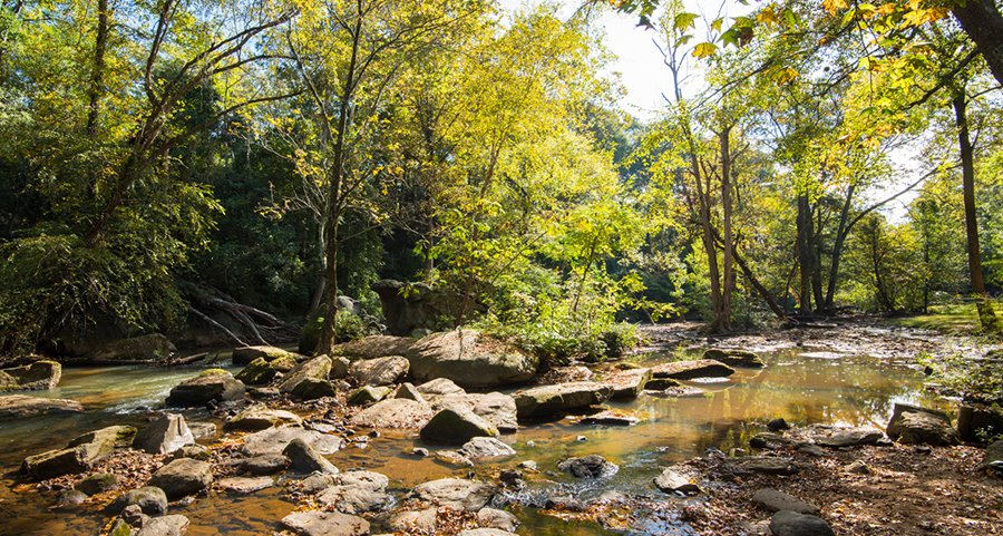 Hiking near Greer SC